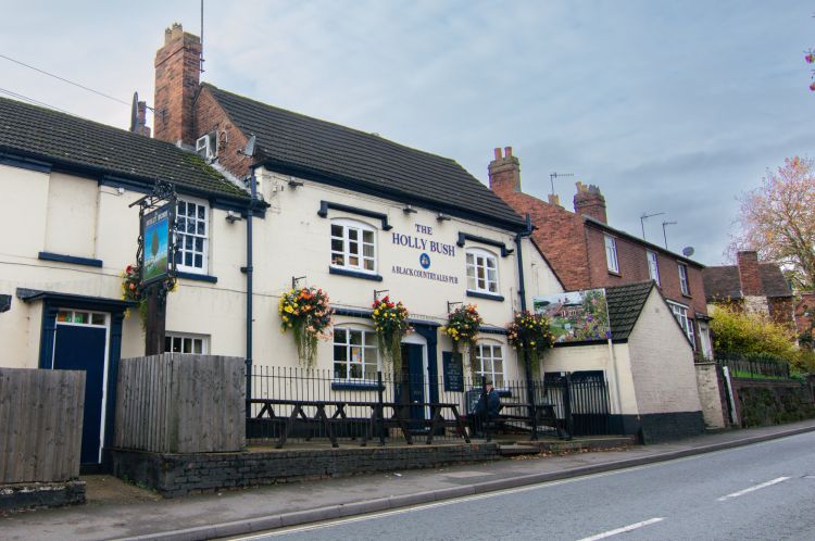 The Hollybush Web-1.jpg